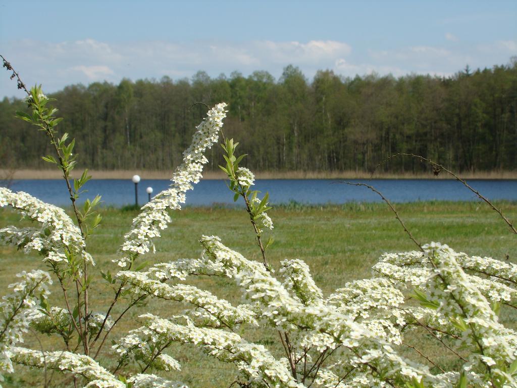 Bobrowa Dolina Ryn (Warmian-Masurian) Exterior foto