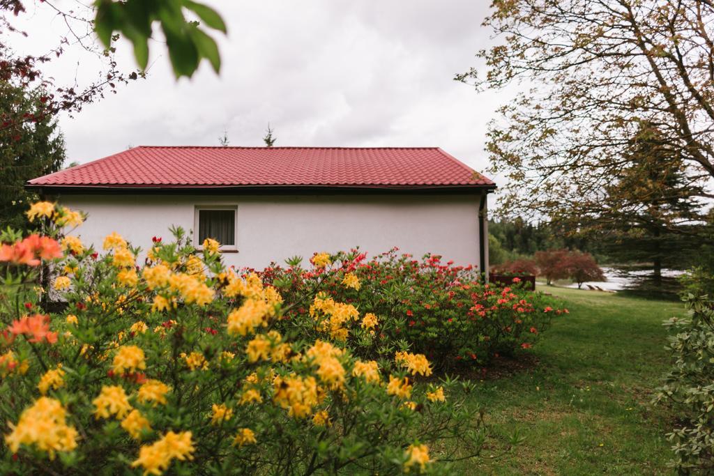 Bobrowa Dolina Ryn (Warmian-Masurian) Exterior foto